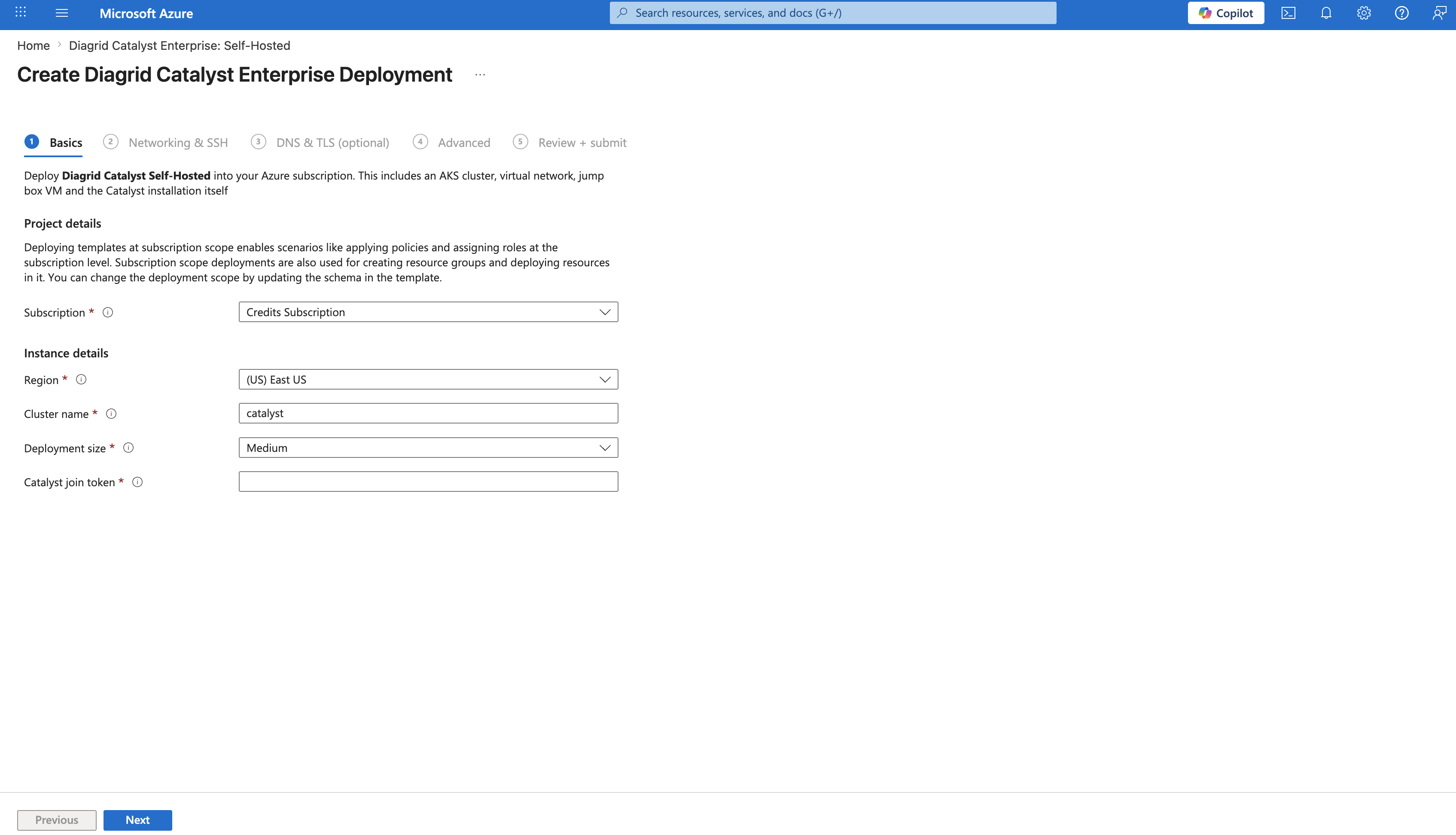Azure Portal "Create Diagrid Catalyst Enterprise Deployment" form — Basics tab