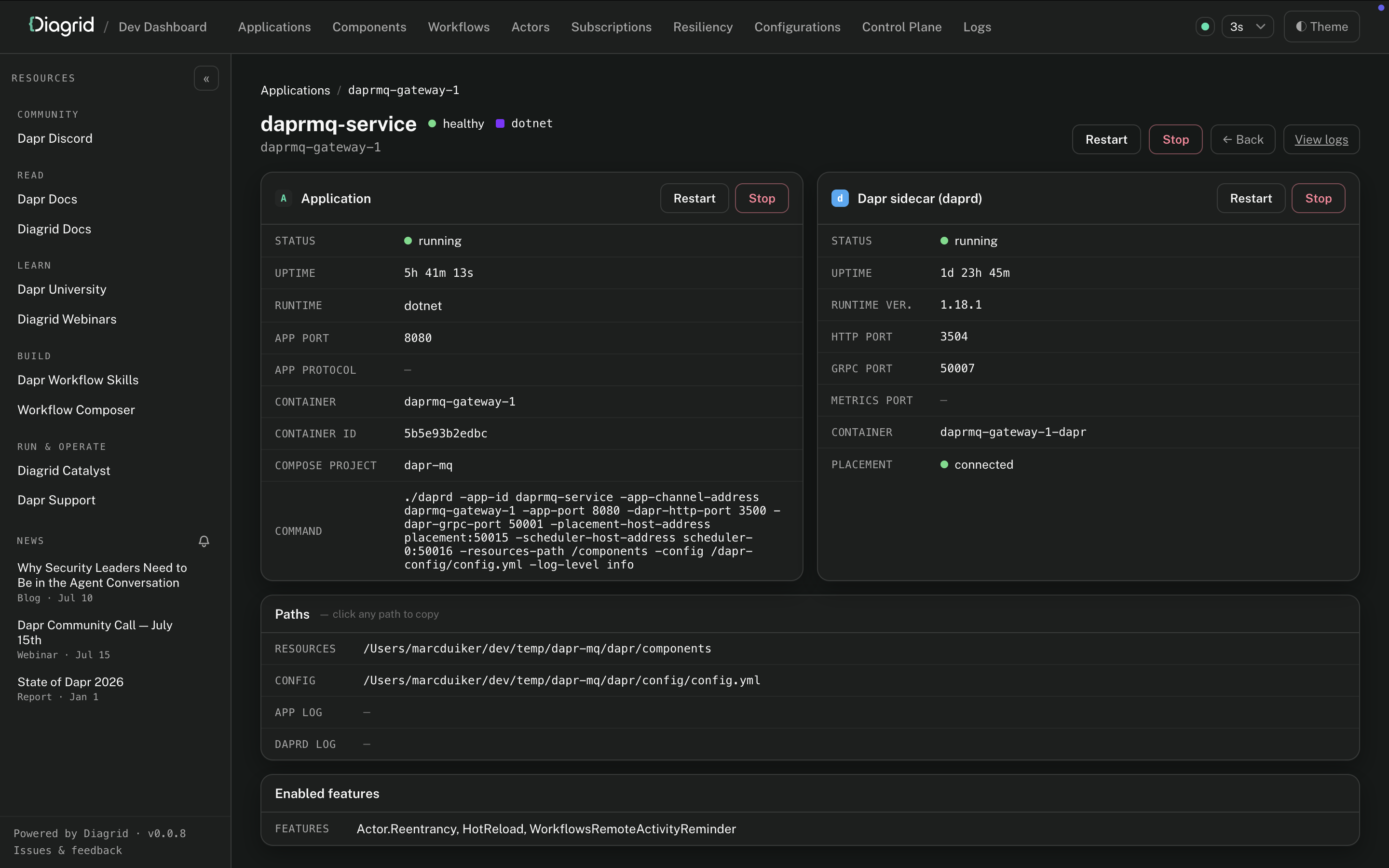 Application detail in the Diagrid Dev Dashboard