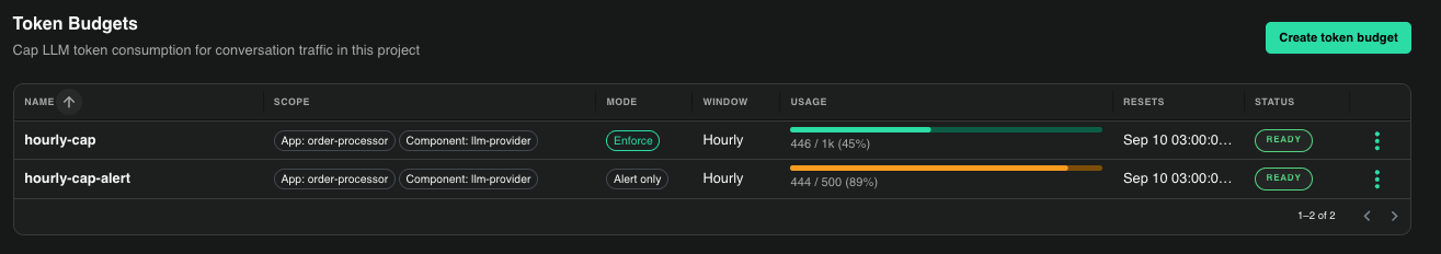 Token Budgets list in the Catalyst console showing two hourly budgets on the same scope, one in Enforce mode at 446 of 1k tokens and one in Alert only mode at 444 of 500